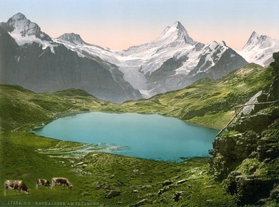 Bachalpsee, Wetterhorn, Schreckhorn, Finsteraarhorn, en 1900, par Photoglob N°0000017564