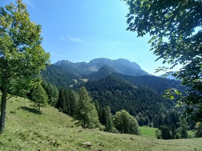 Raduha Raduha