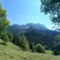 Raduha Raduha