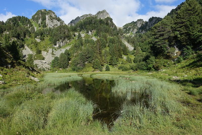 Lac des Pourettes Lac des Pourettes