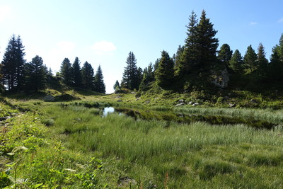 Lac des Pourettes Lac des Pourettes