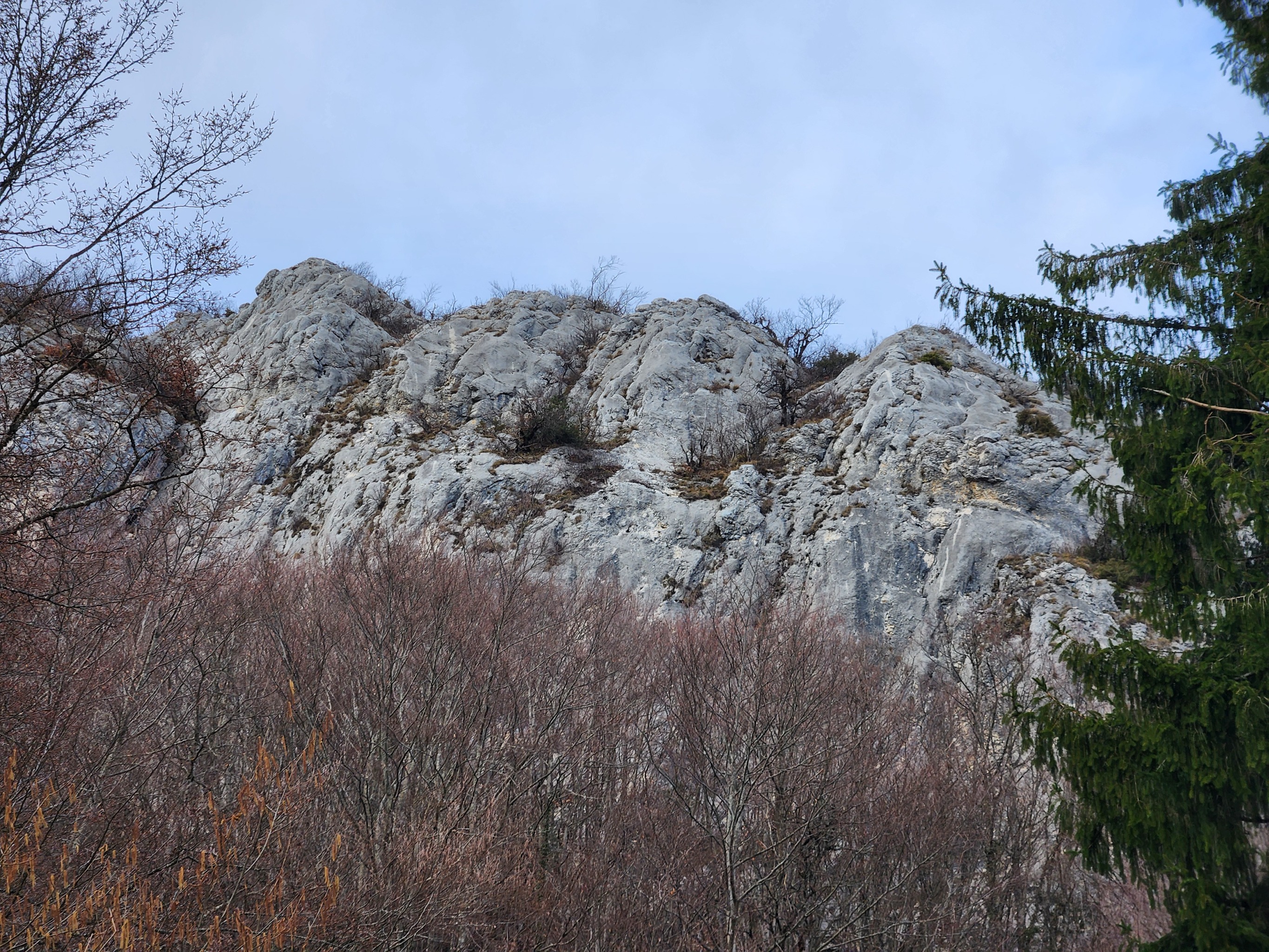 Vue de CESSENS CHATEAU BARTHLIER