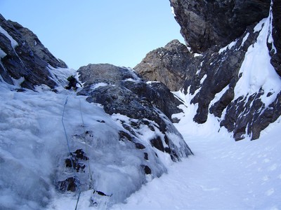 Tetes De Sainte Marguerite La Compagnie Des Glaces Camptocamp Org
