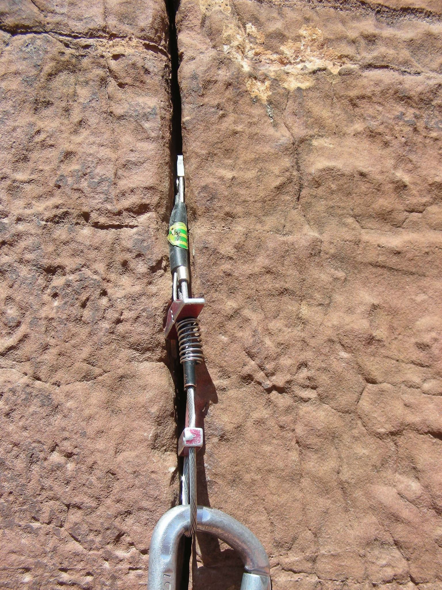 Ballnuts Bon placement