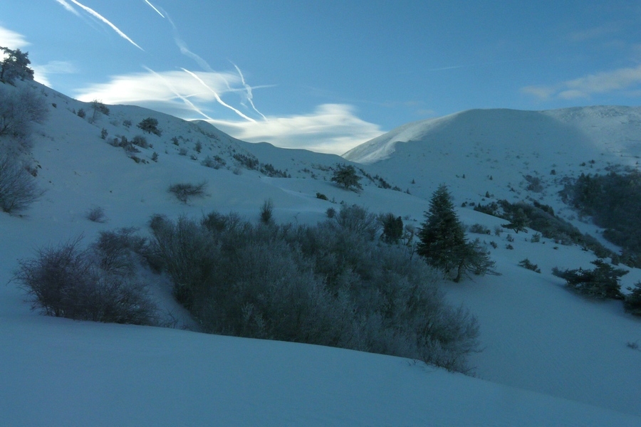 Picture of the hike