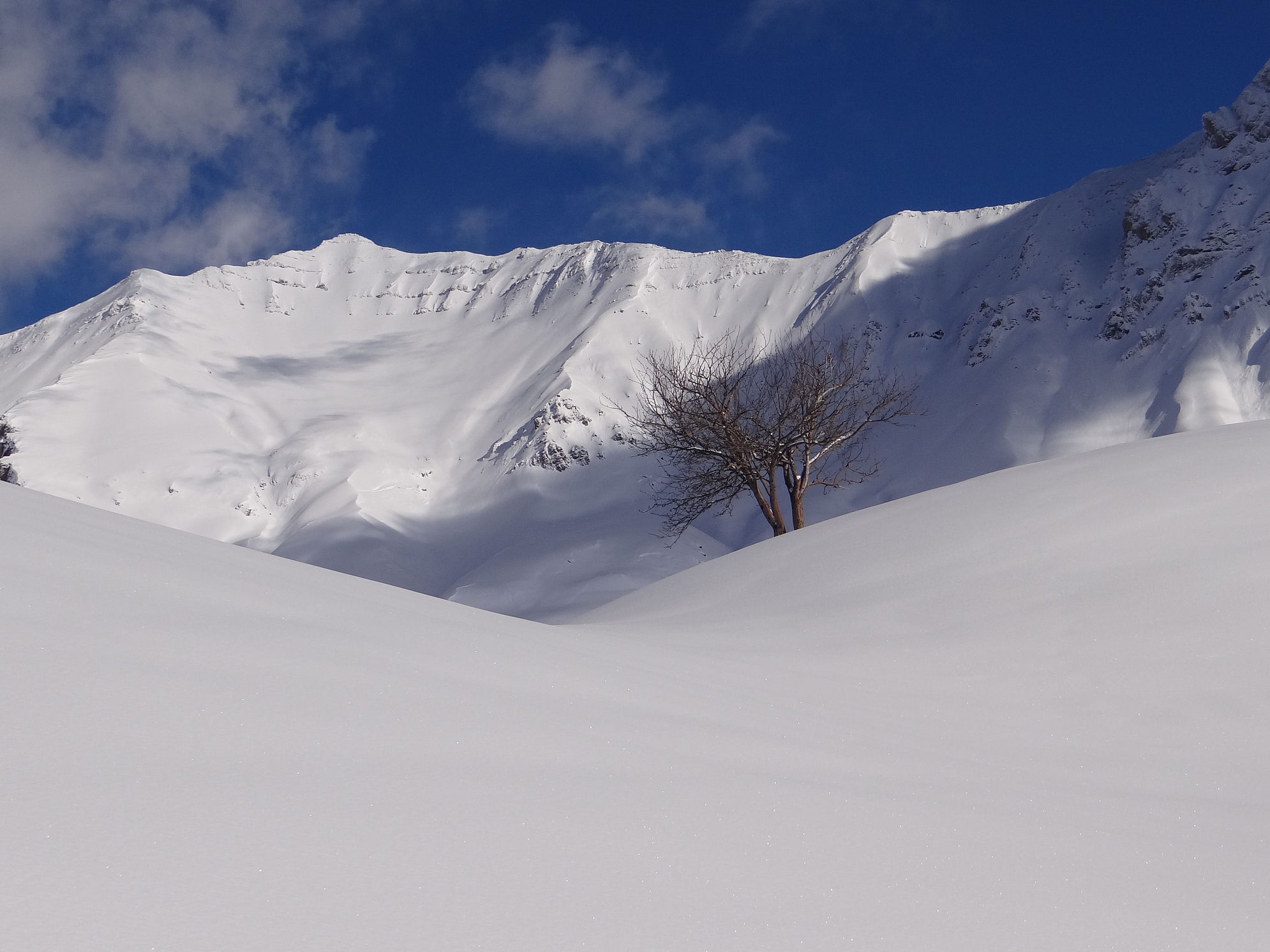 Picture of the hike