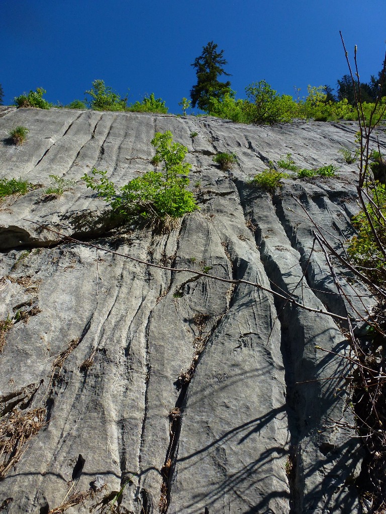 Picture of the hike