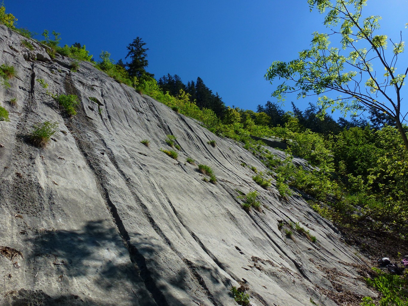 Picture of the hike