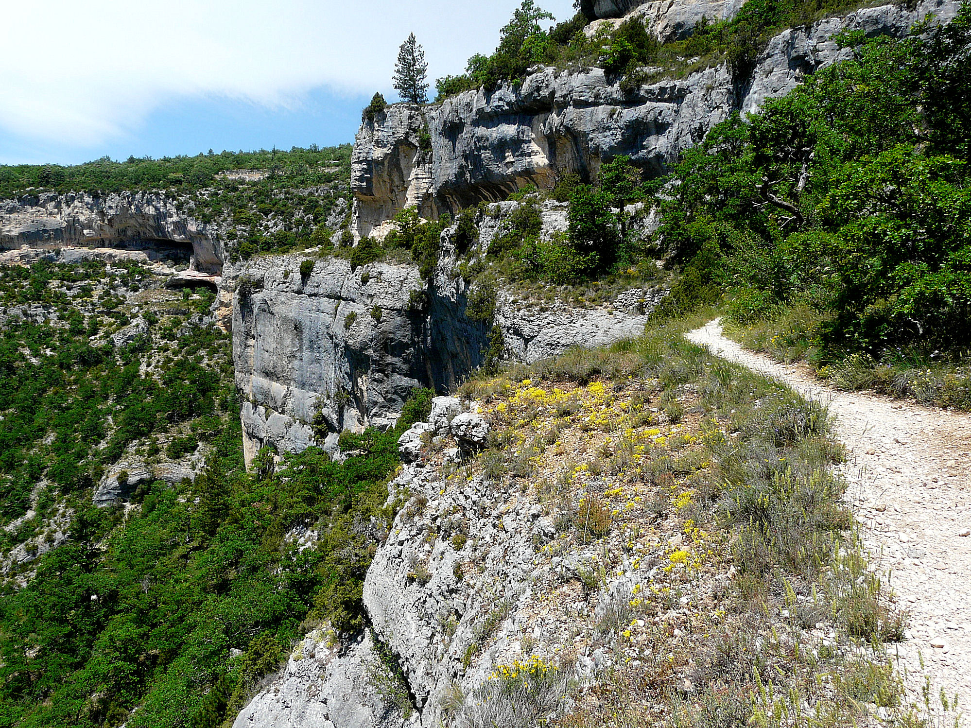 Gorges de la Nesque - Camptocamp.org