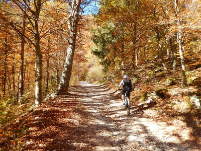 Monte Bondone: anello da Trento in MTB - Camptocamp.org