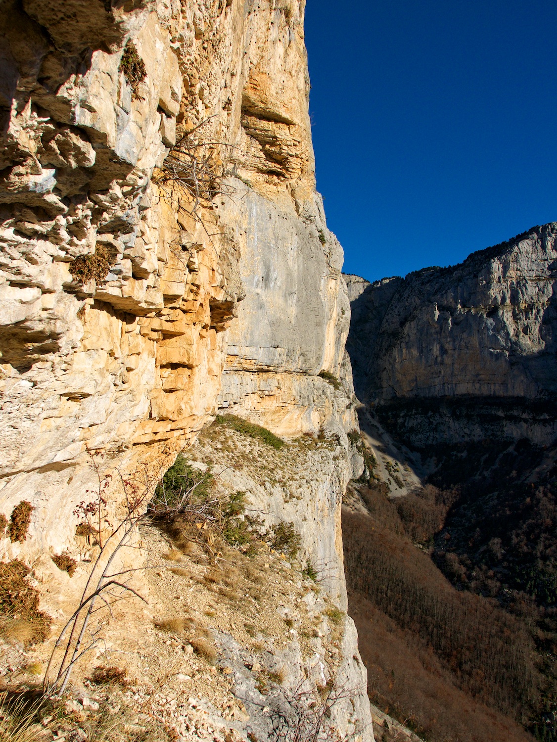 Picture of the hike