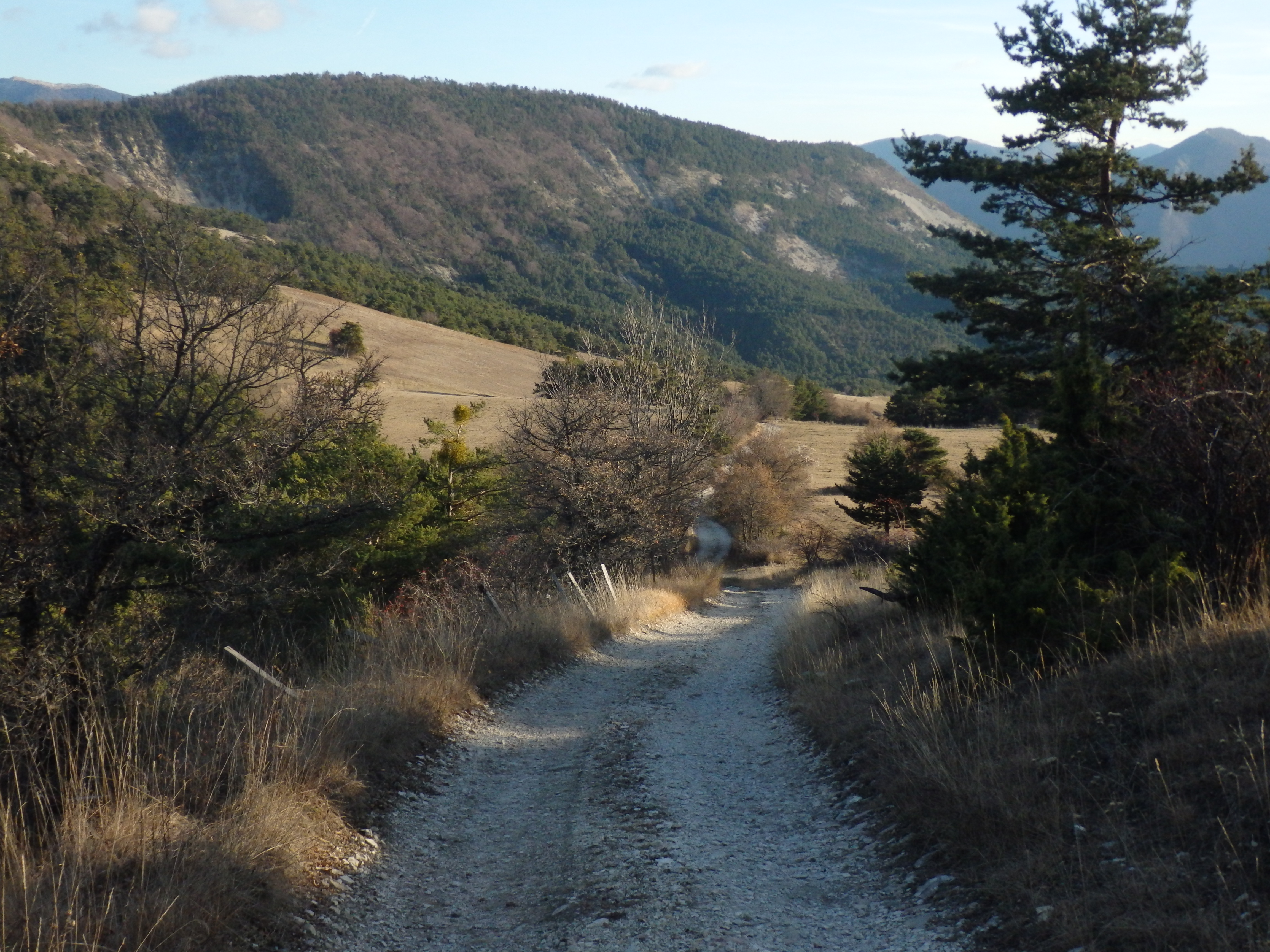 Picture of the hike