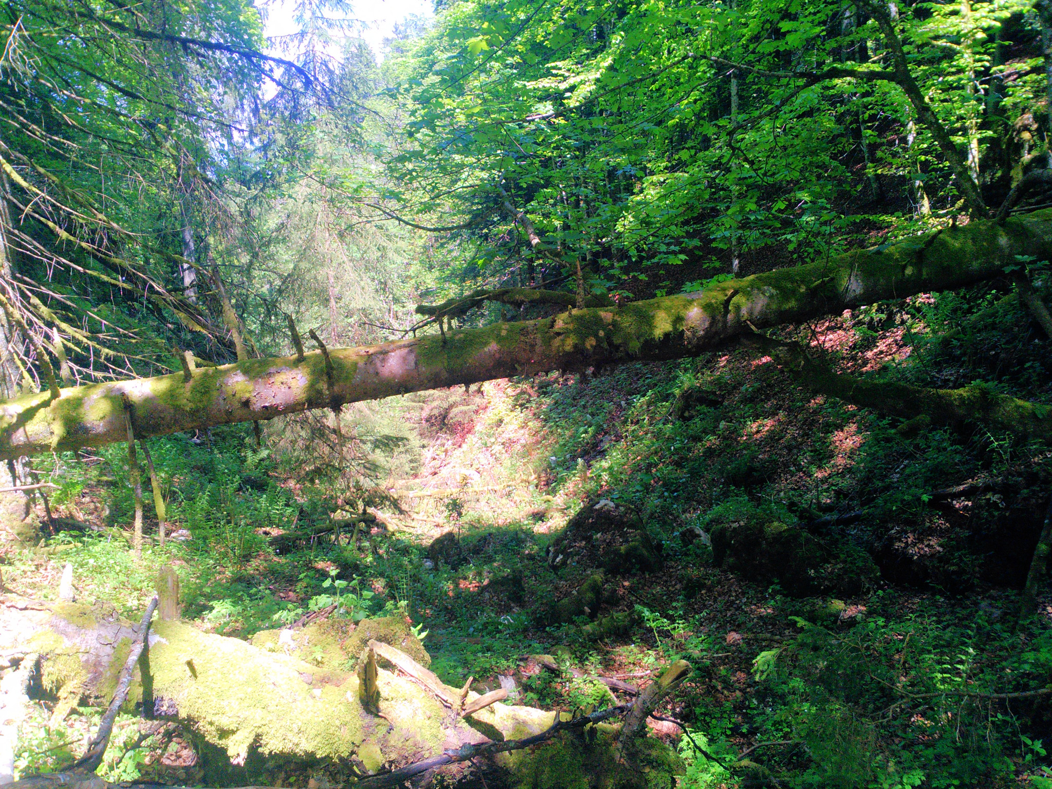 Vallon de StImier StImier via la combe Grède et la