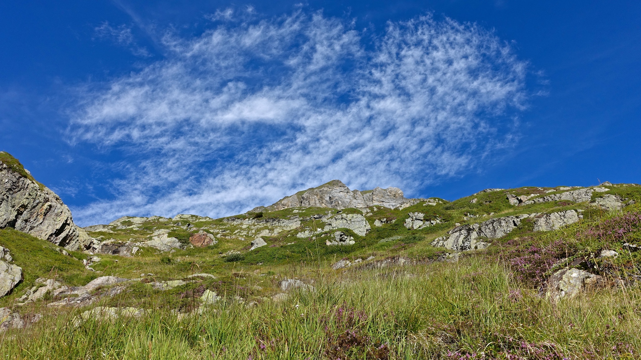 Picture of the hike