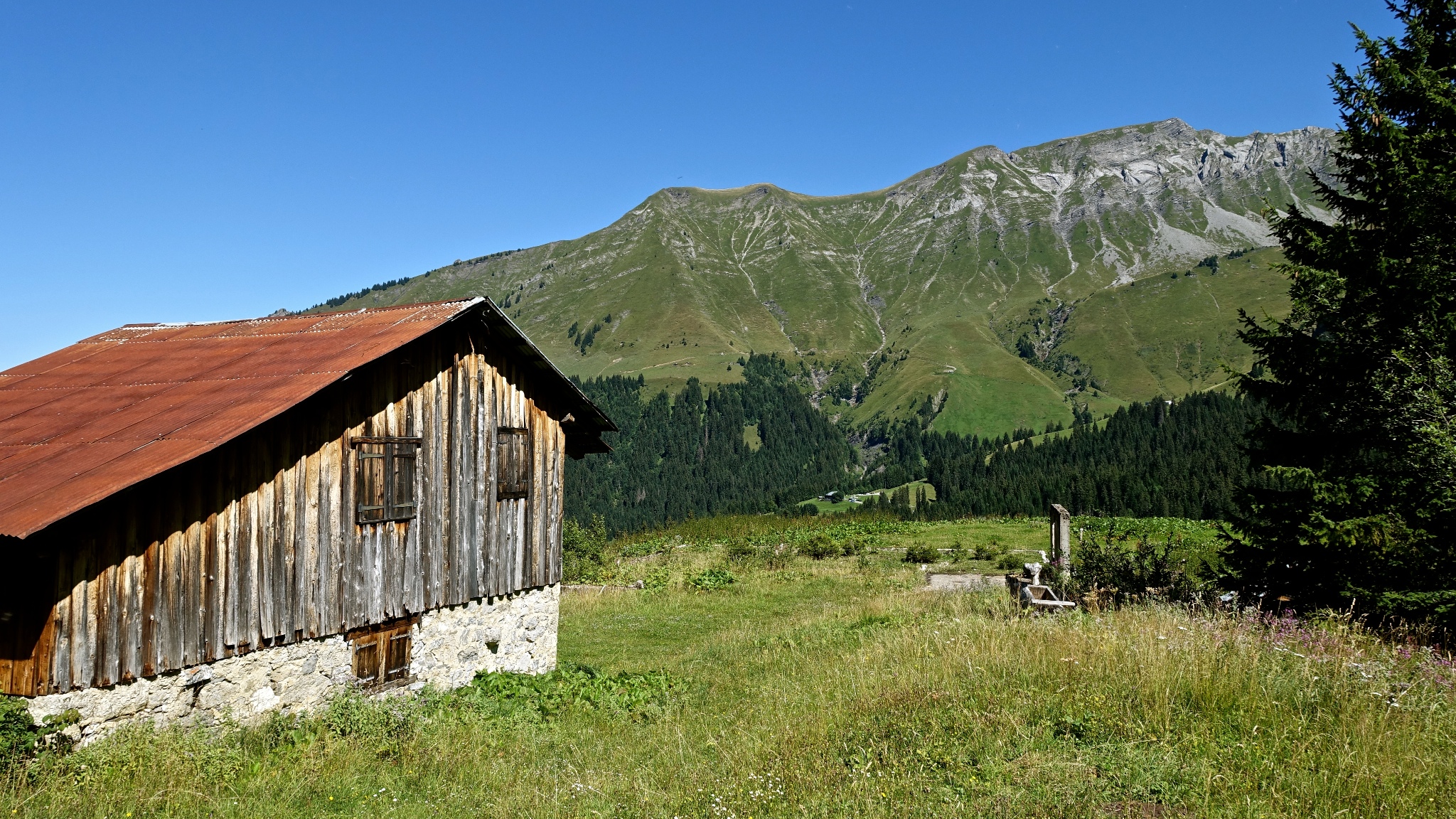 Picture of the hike