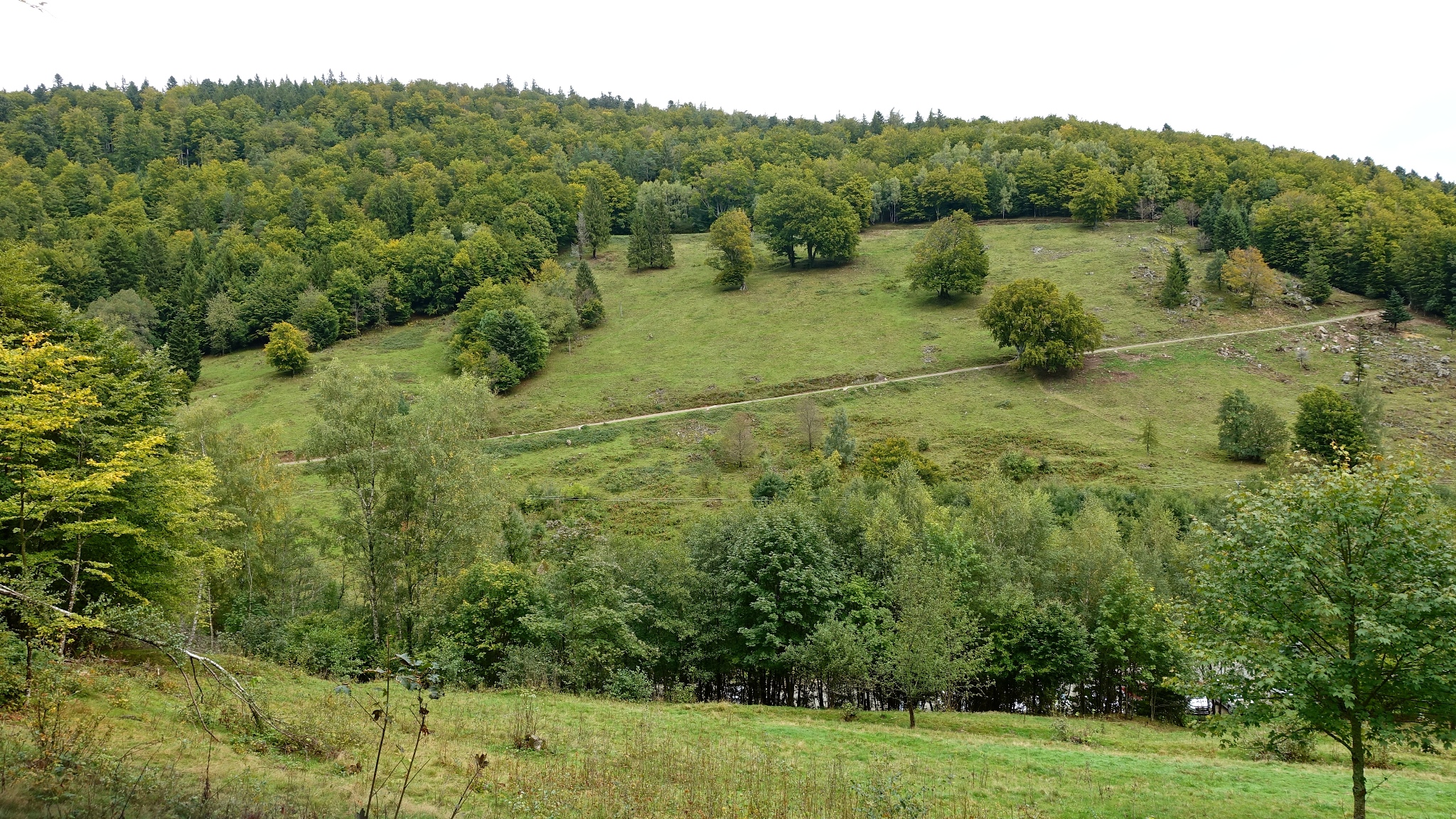 Picture of the hike