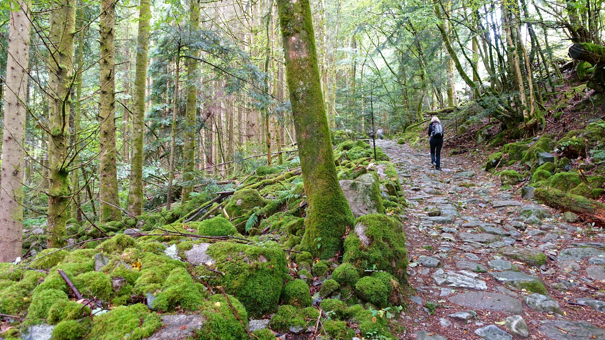 Picture of the hike