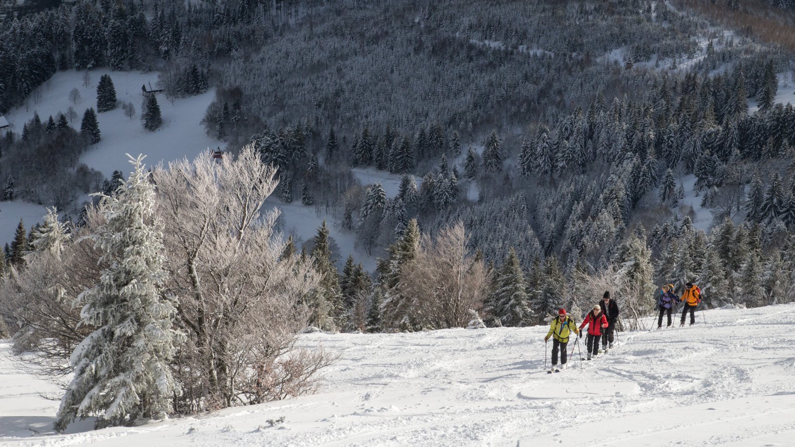 Picture of the hike