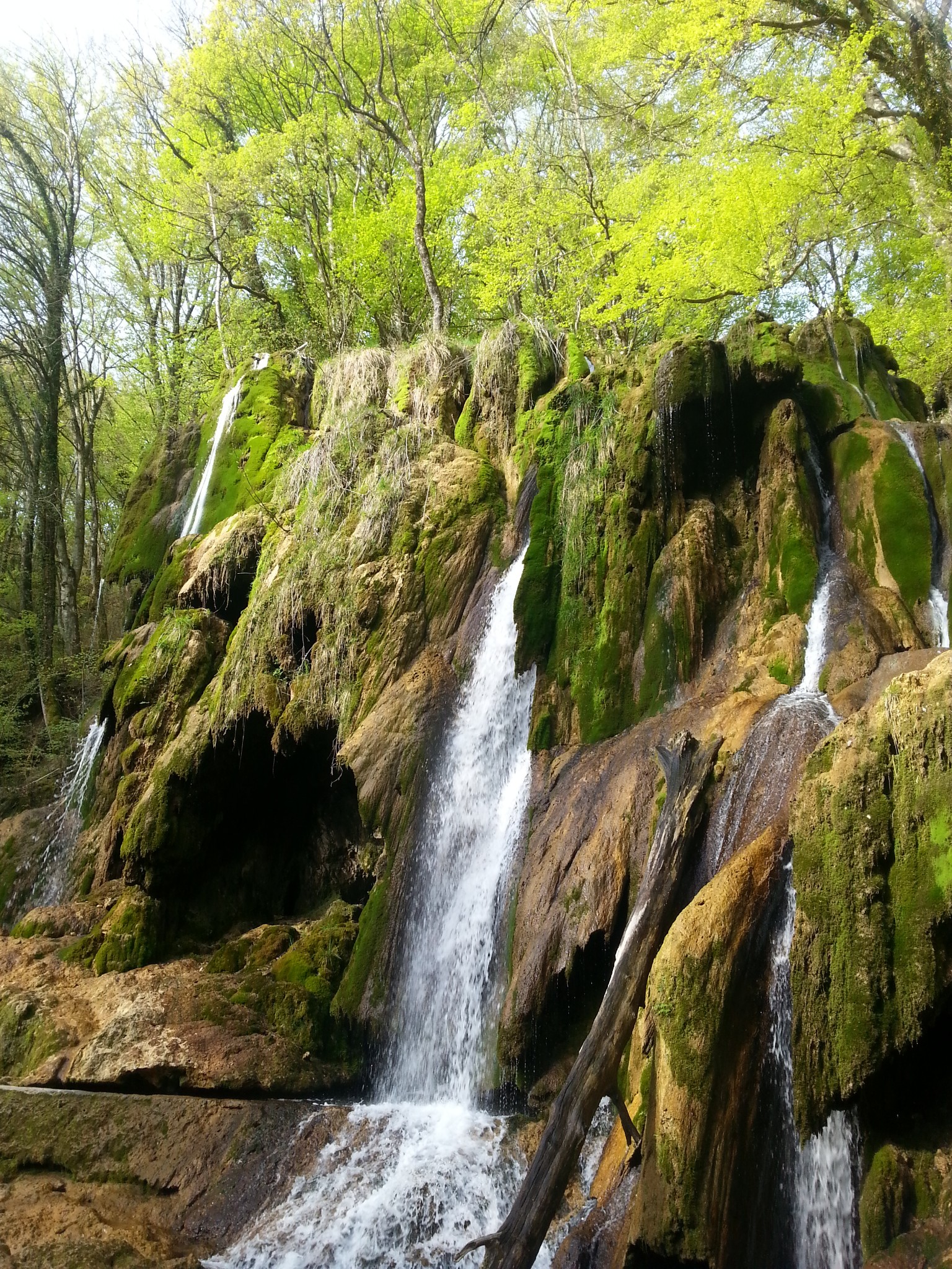 Picture of the hike