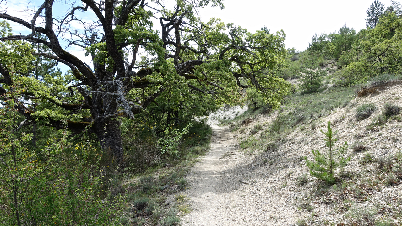 Picture of the hike