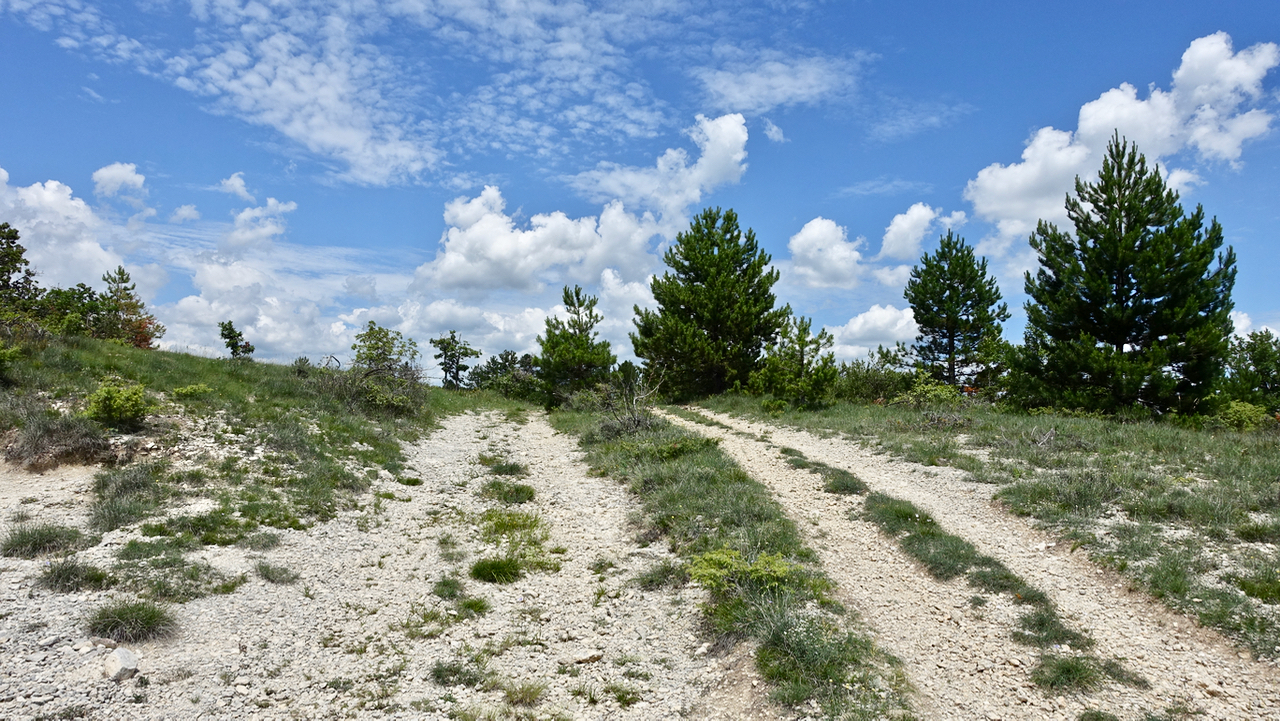 Picture of the hike