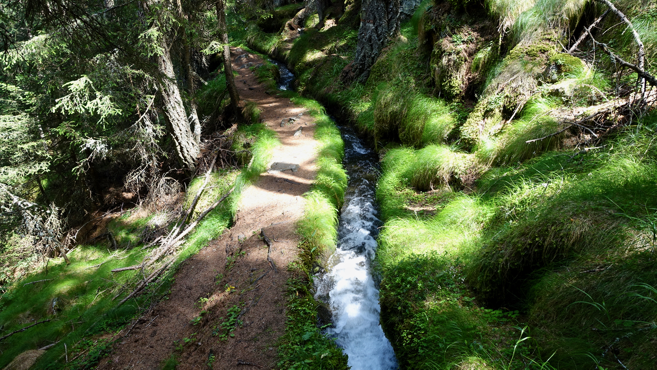 Picture of the hike