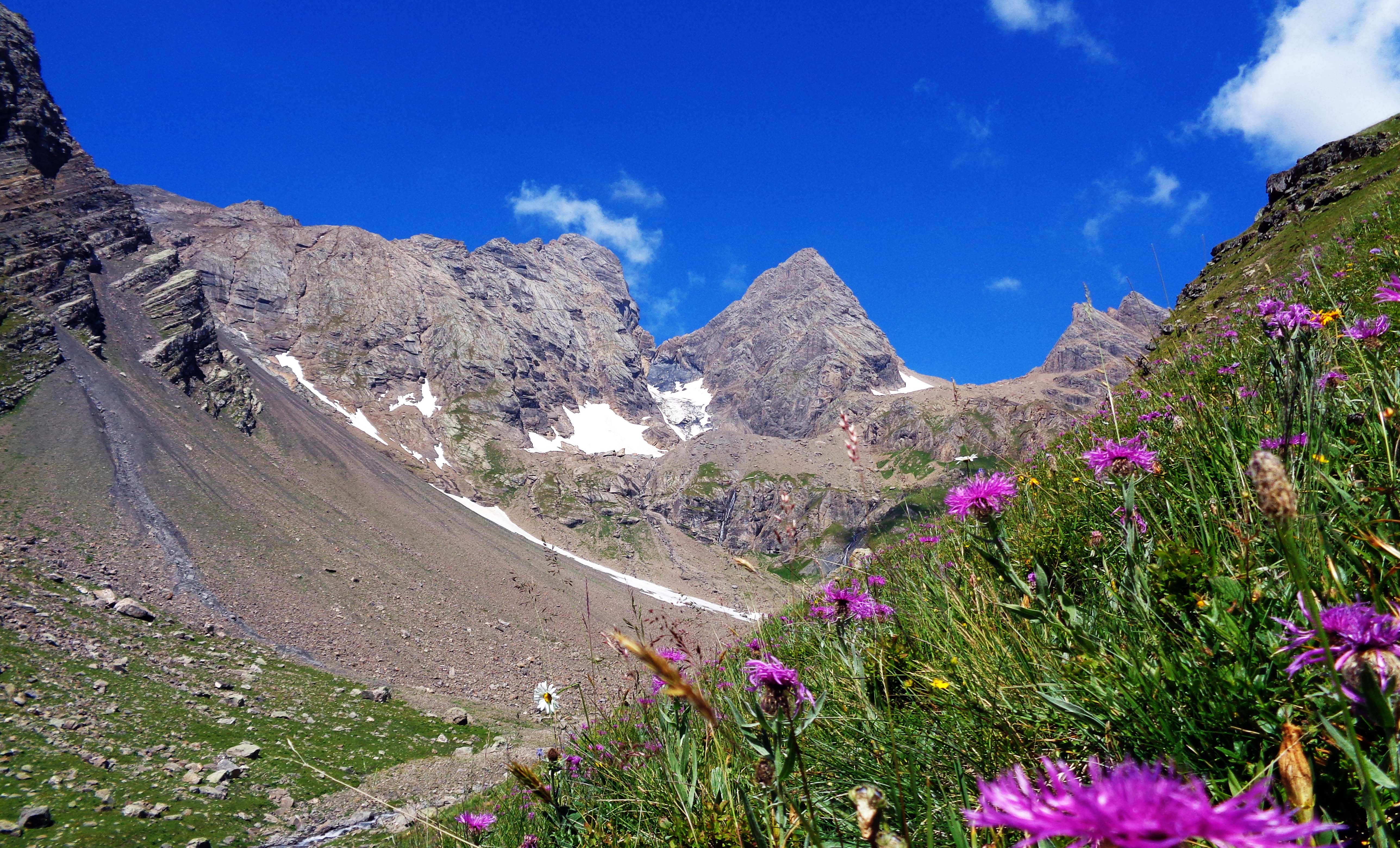 Picture of the hike