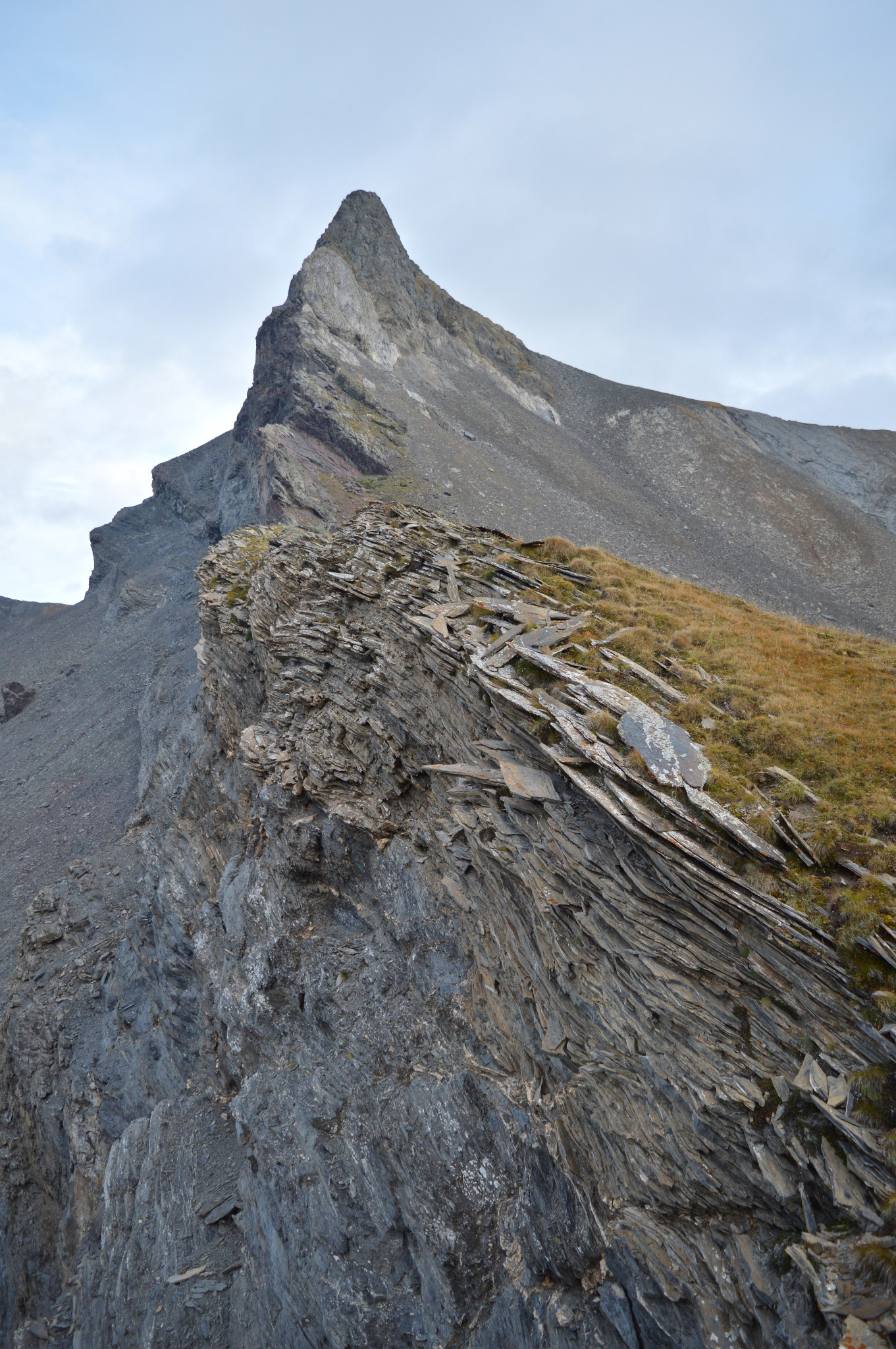 Picture of the hike