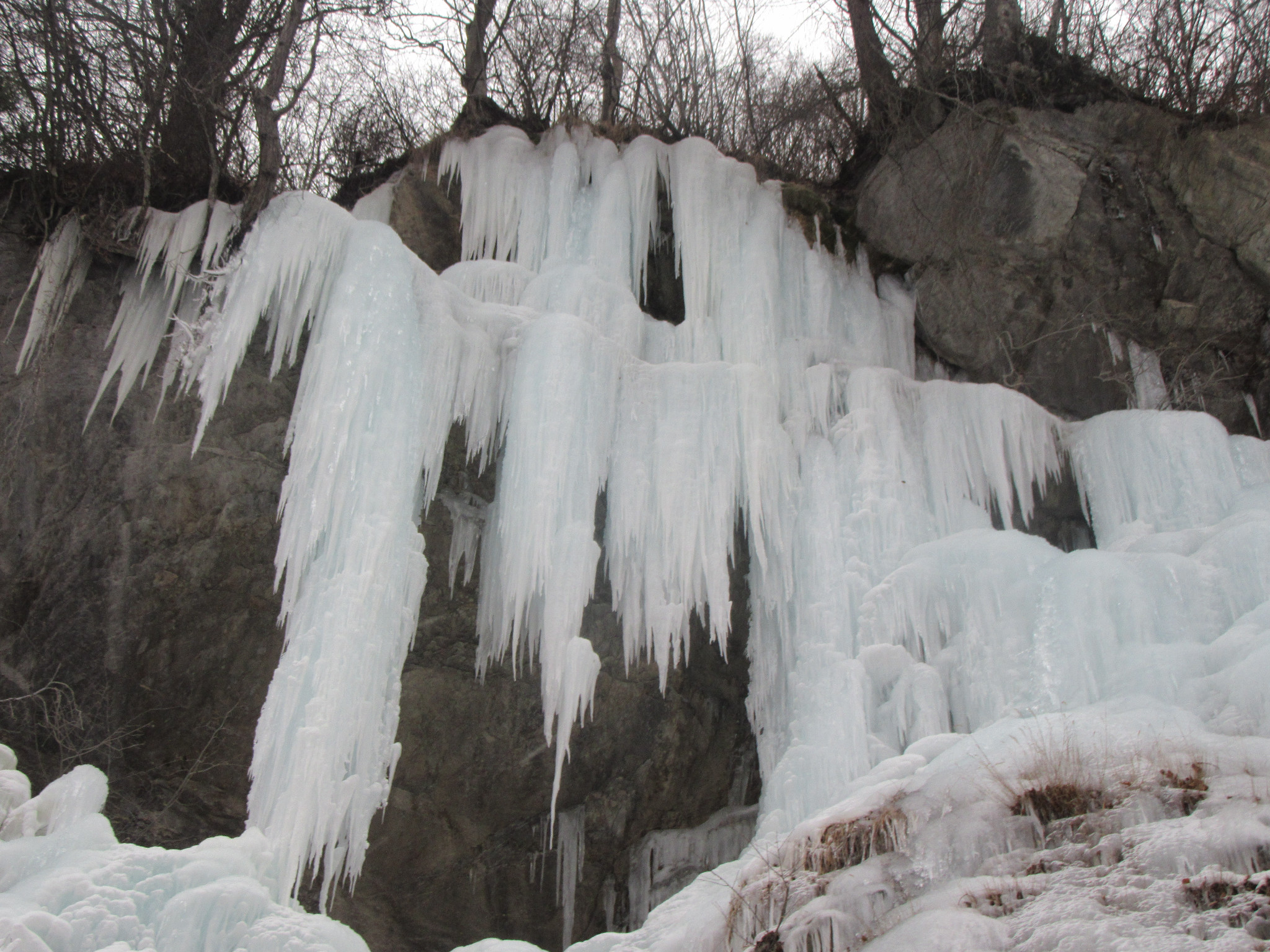 Picture of the hike