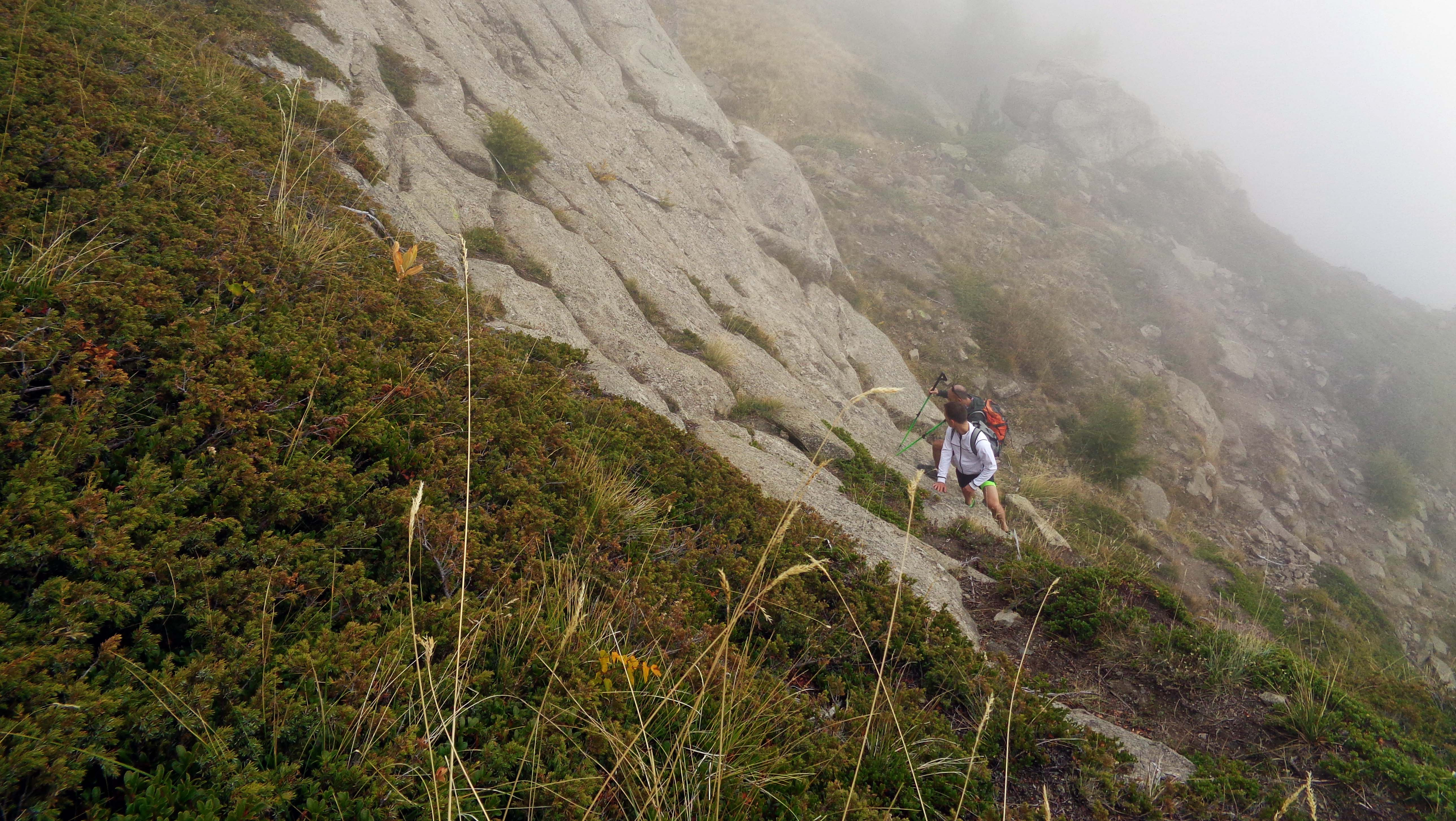 Picture of the hike