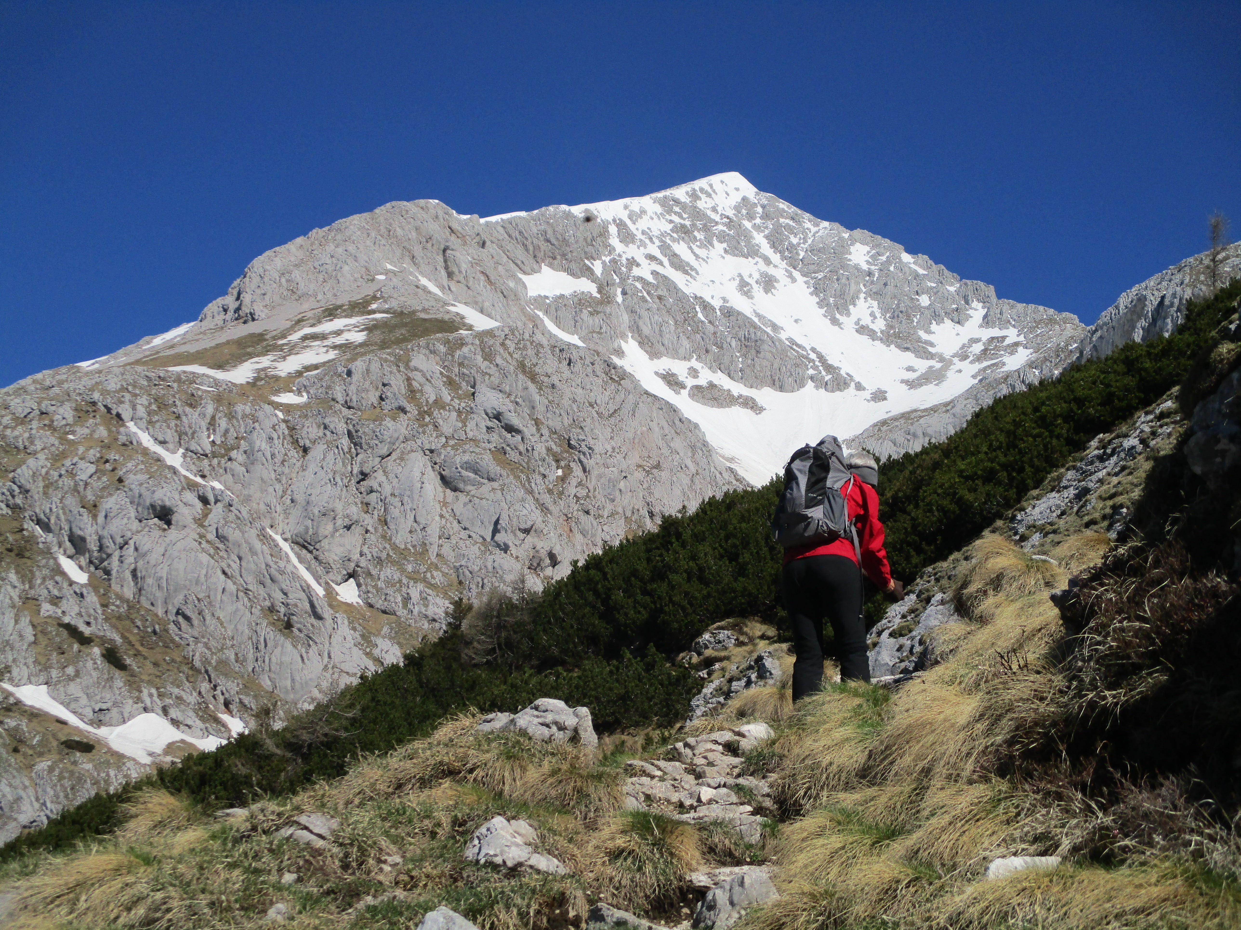 Picture of the hike