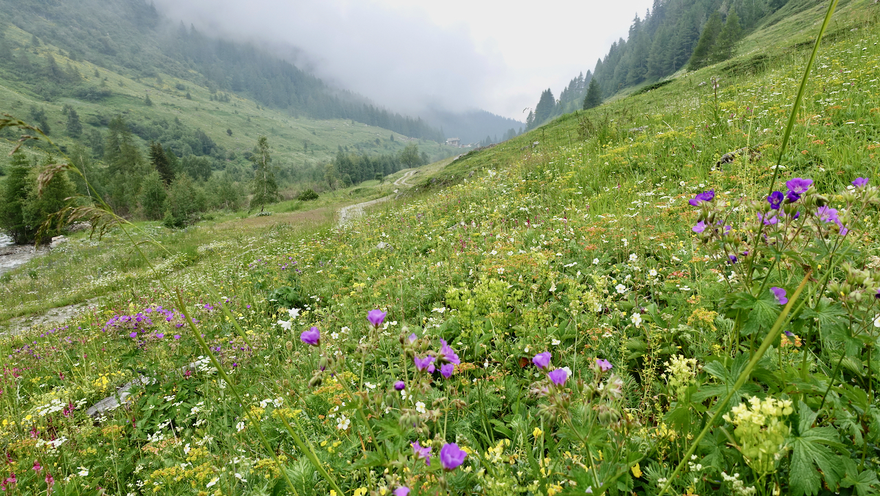 Picture of the hike