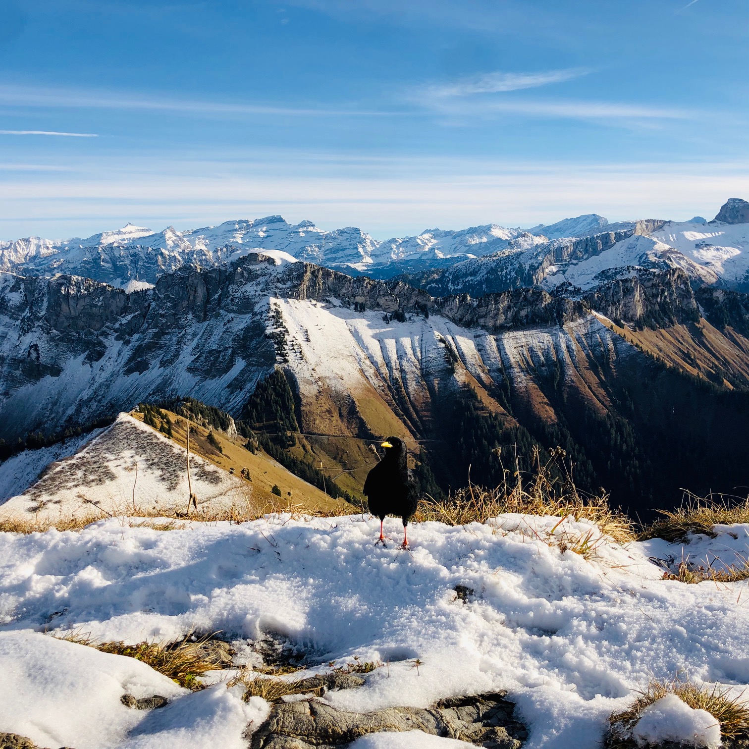 Picture of the hike