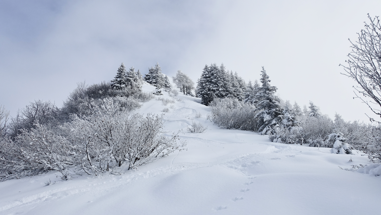 Picture of the hike