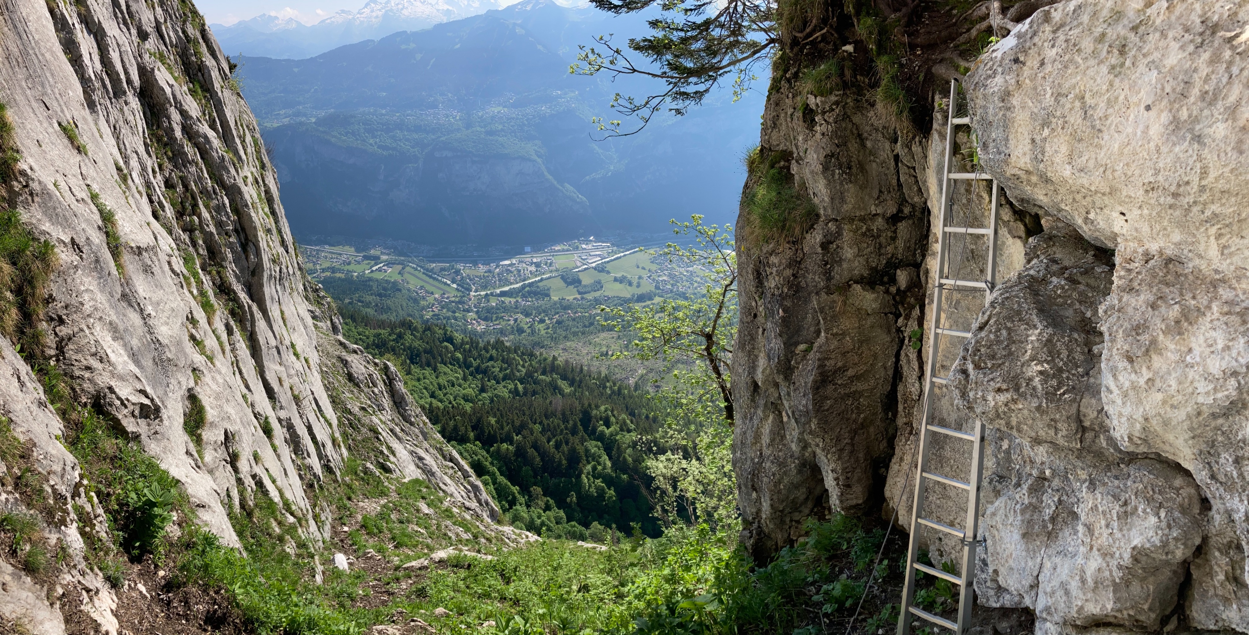 Picture of the hike