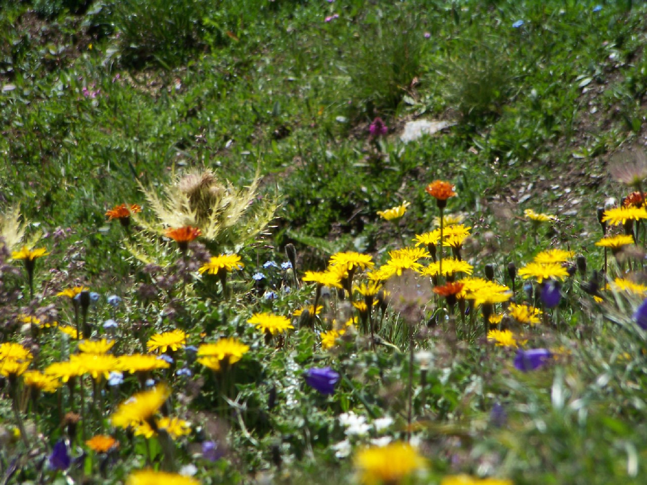 Picture of the hike