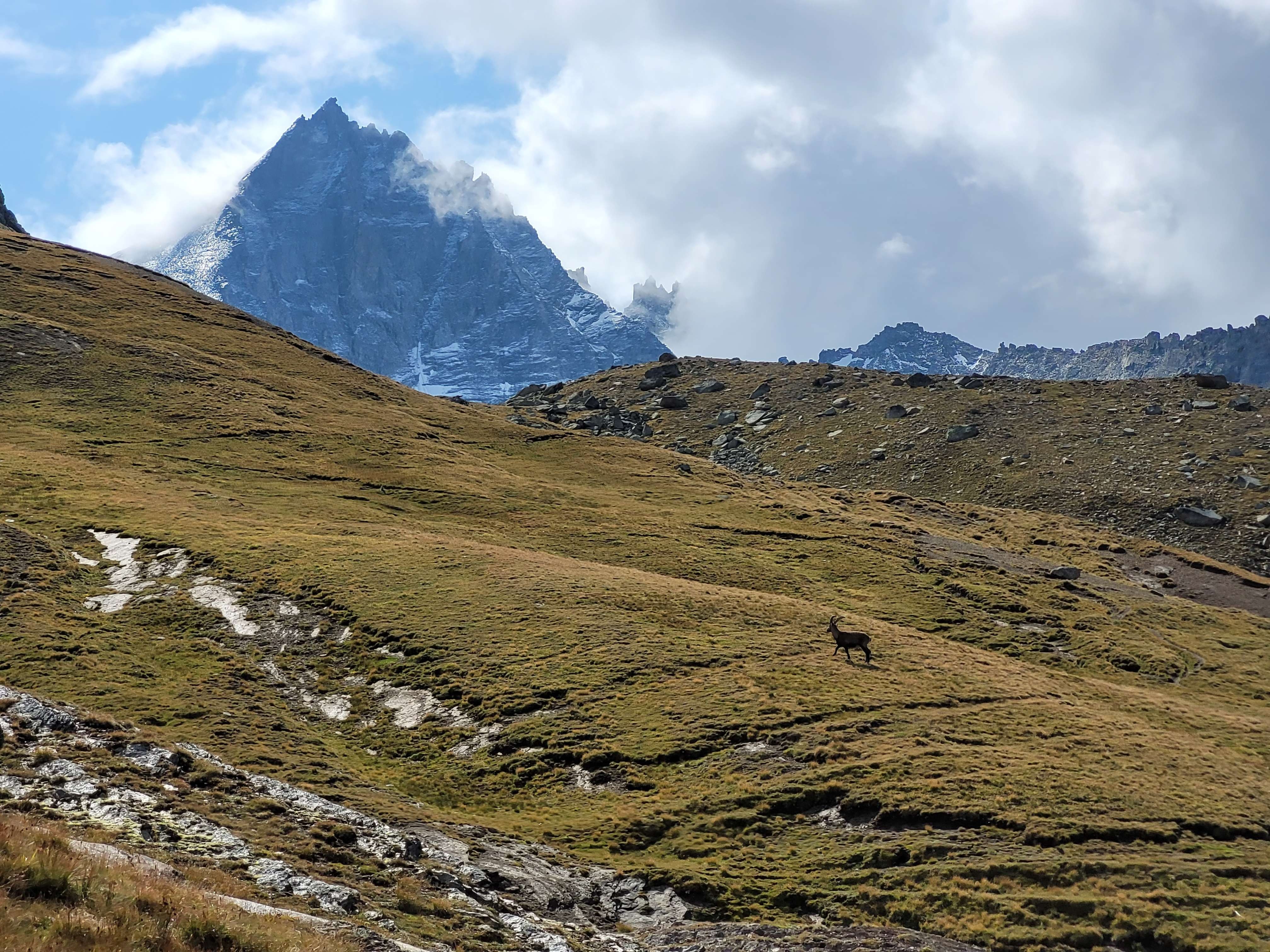 Picture of the hike