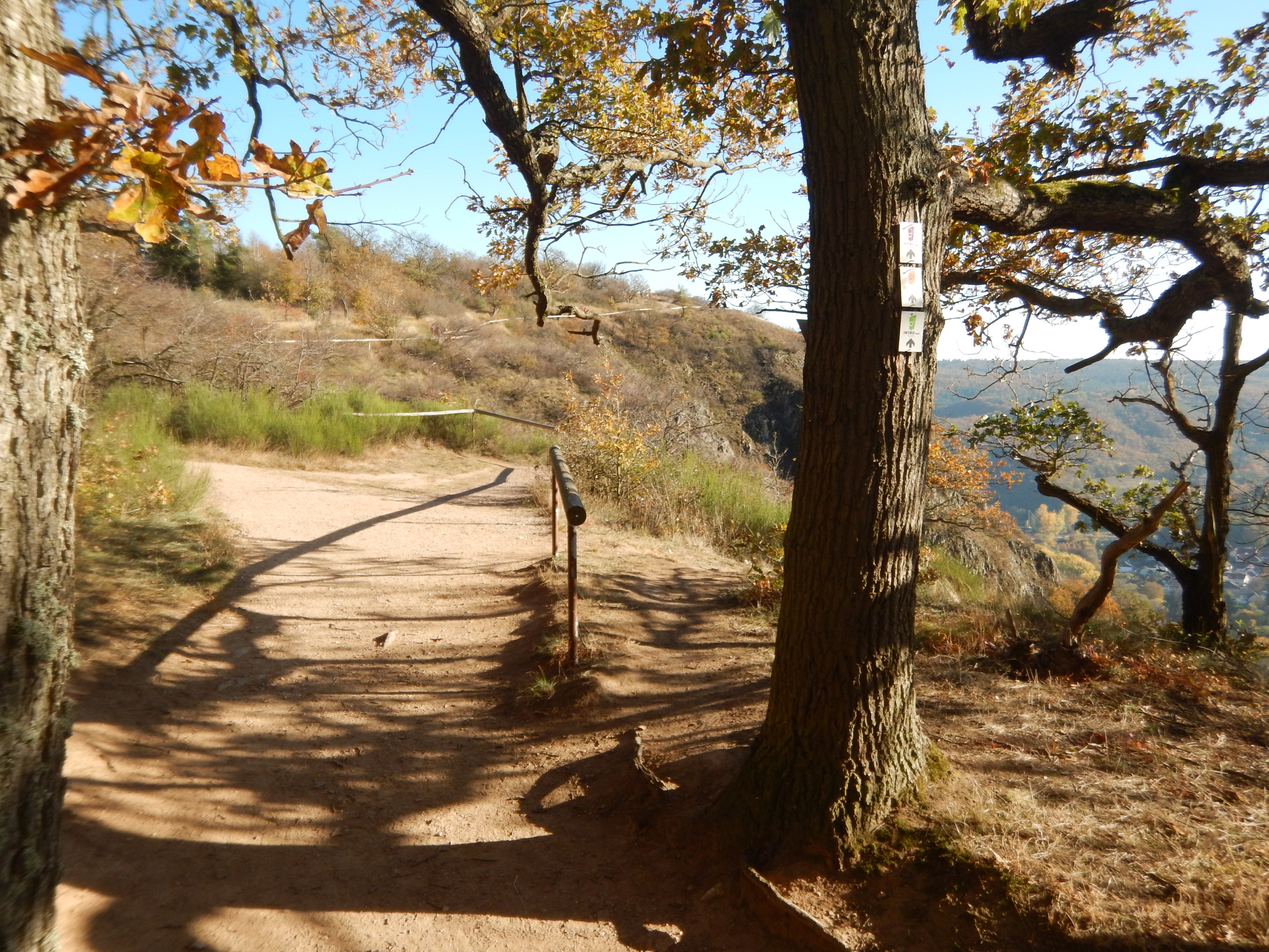 Picture of the hike