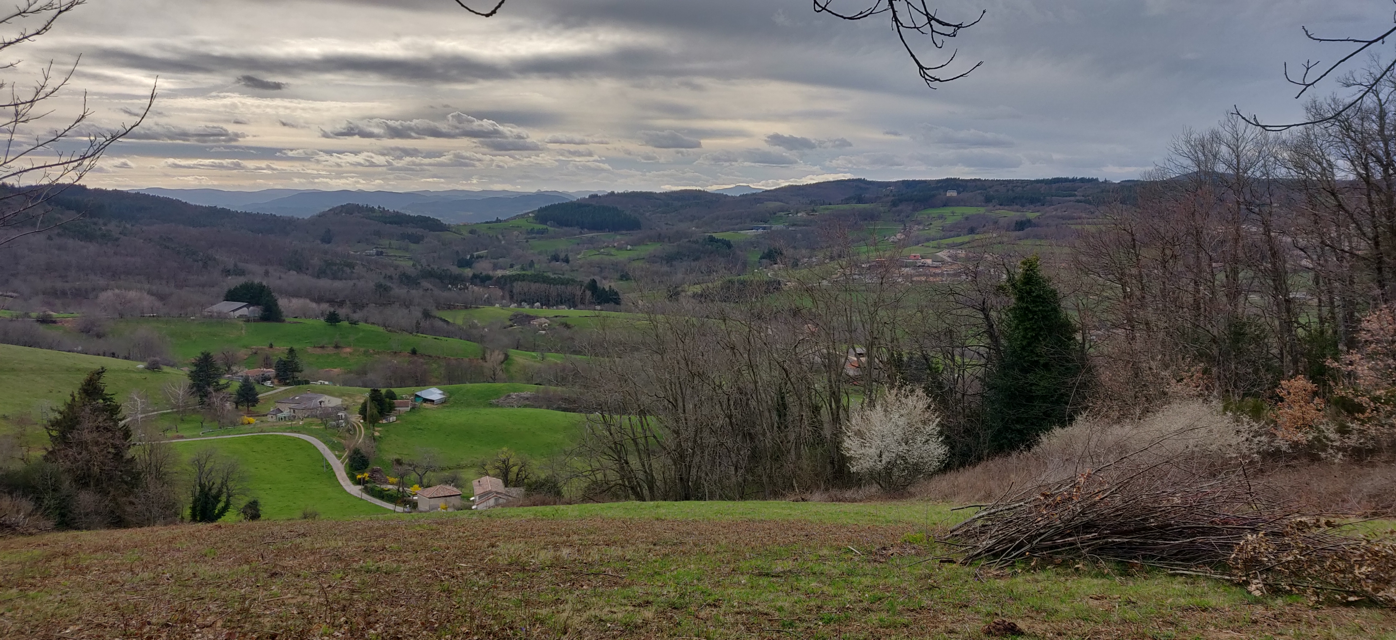 Picture of the hike