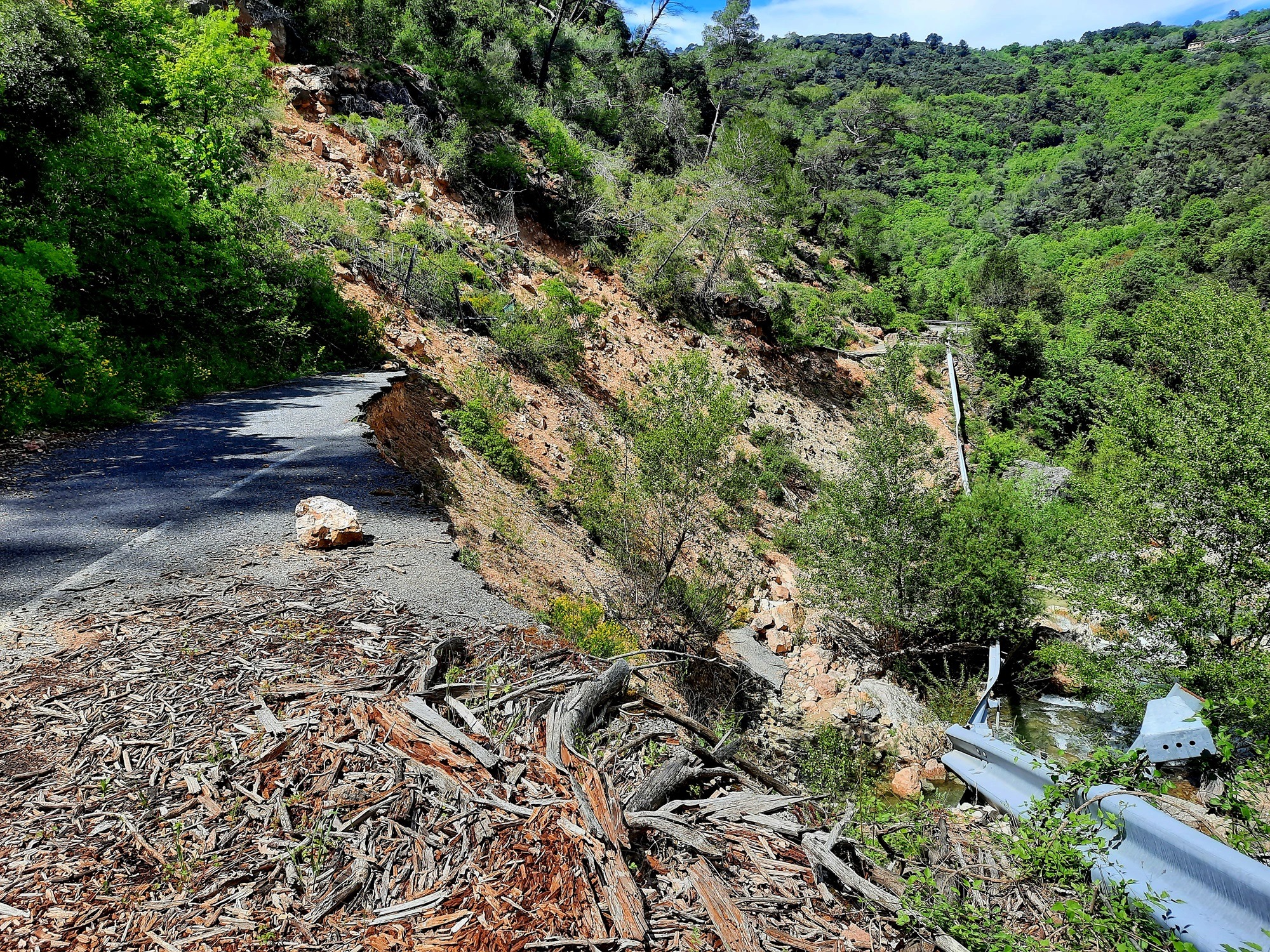 Picture of the hike