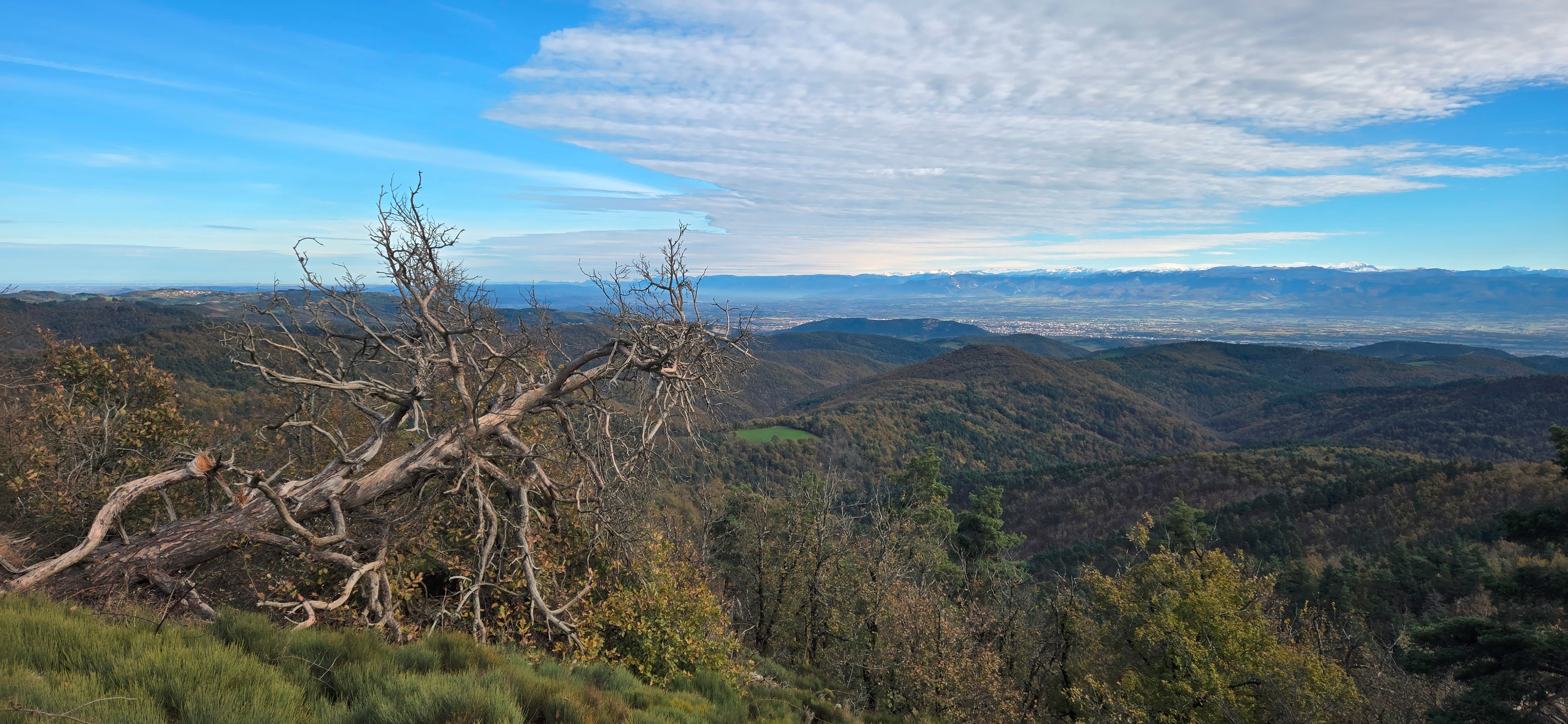 Picture of the hike